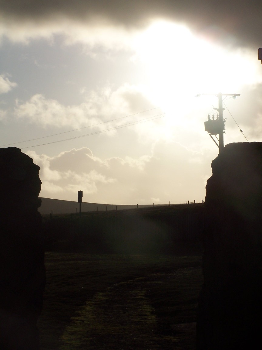 The Arty shot. (Well, nearly!)