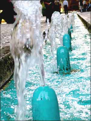 عکس از محمد انصاری