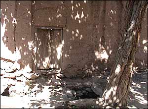 رويا دهقان پور