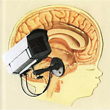 Review of Origin: Orphan