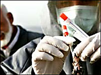 बर्ड फ़्लू