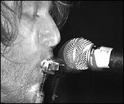 Peter and the Wolf (pic: Sarah Pooley)