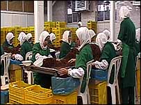 شرکت تهيه و بسته بندی خشکبار آرات