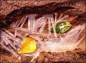 عکس از مهران حسن لاريجانی