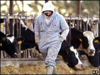 يک دامداری در آمريکا