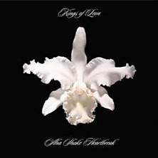 Review of Aha Shake Heartbreak