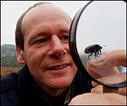 Bug expert John Walters 