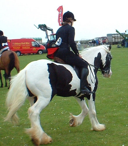 Charlie at The Sanday Show 2007.
