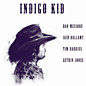 Review of Indigo Kid