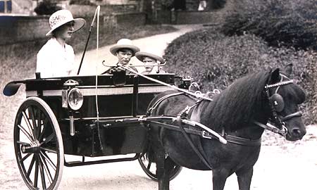 Princess Mary rides her pony and cart
