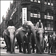 Tony riding an elephants through Leeds town centre