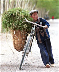 Čínský chlapec s krmivem pro domácí zvířata