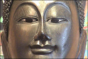 Steve Barrett in Brazil