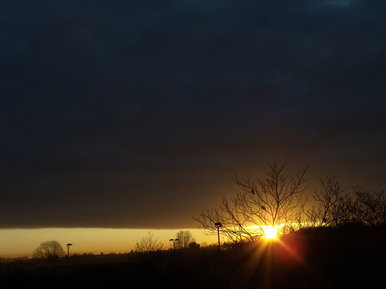 Birds in the Night Sky