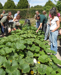 Master Gardeners in training