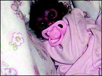 Macaco-aranha (foto: Ifaw)