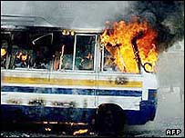 عکس تزئينی است