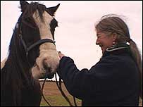 Karen and a horse