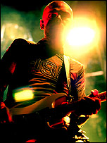 Smashing Pumpkins (c) Shirlaine Forrest