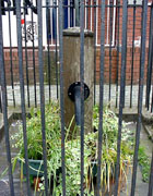 Pwmp dŵr Llantrisant