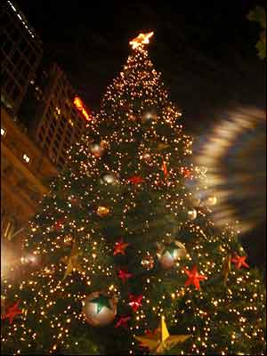 عکس از مريم