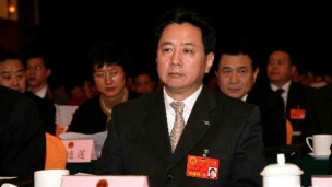 李小鹏(中新社资料图片)