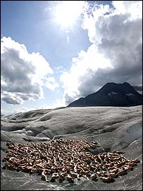 नग्न फ़ोटोग्राफ़ी