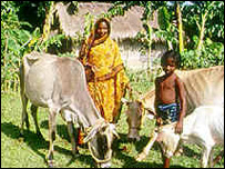 Nông dân ở Bangladesh