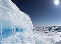 उत्तरी ध्रुव