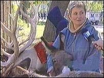 پالتو جانوروں سے پیار