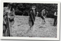 Gwneud gwair yn 1920, bachgen ail o'r chwith yw Arthur Williams, a'i dad ar y dde.