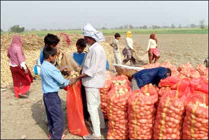 जैविक खेती