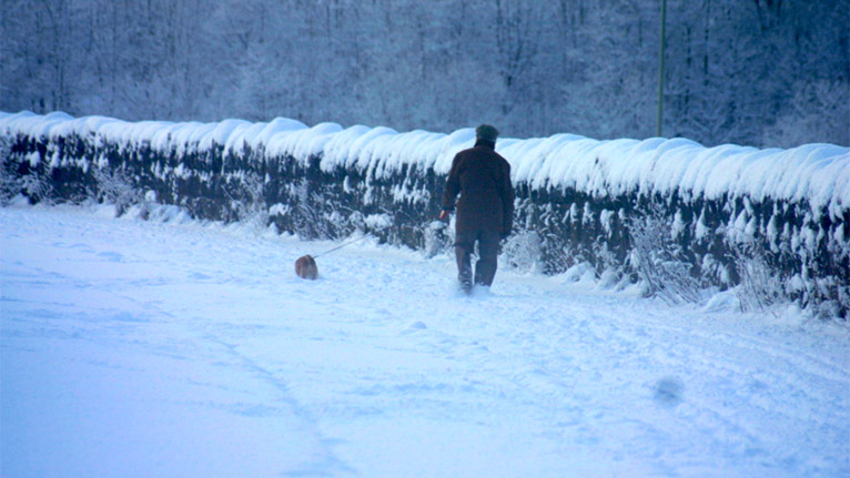 An early morning stroll in Cefn Coed by Dale Miles