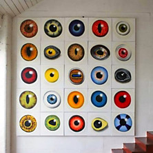 Review of When Animals Stare