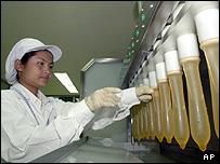 کارخانه تولید کاندوم (عکس از آرشیو)