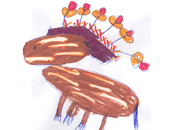 Ceffyl gwedd wedi ei wisgo i'w arddangos.