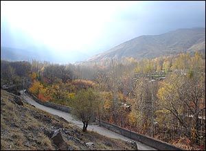 ميلاد رشيدی