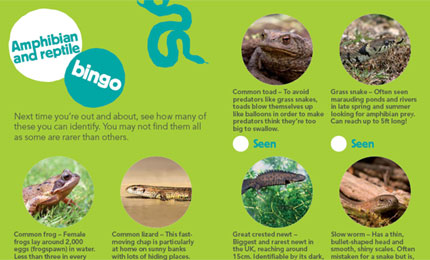 BBC Radio Foyle - Breathing Places Gallery