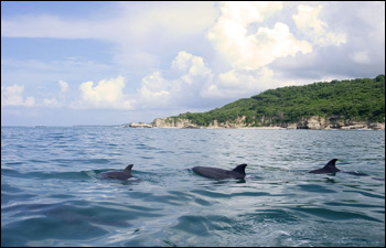 Zátoka Banderas (foto: Petr Myška)