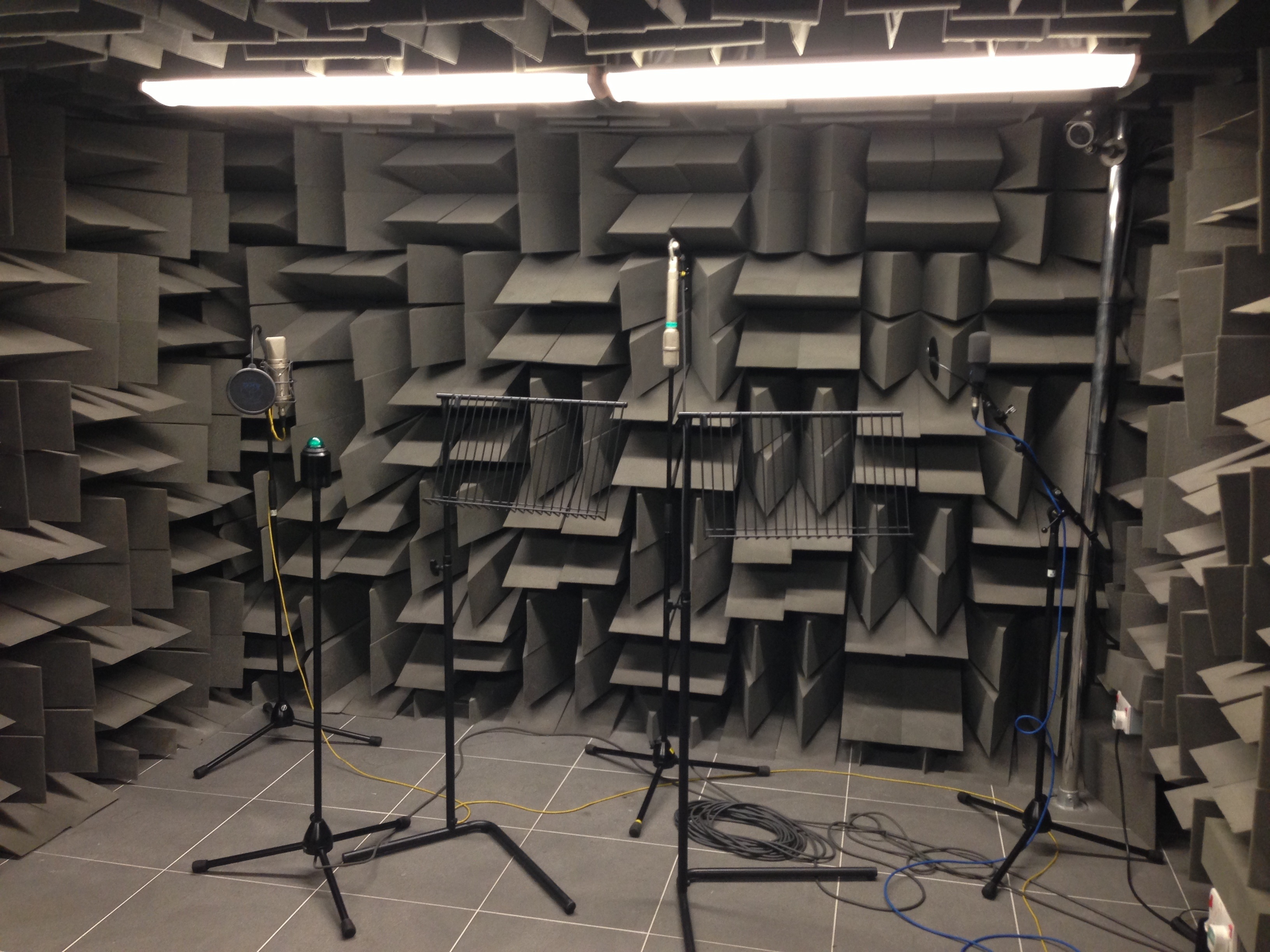 Microphone set up for some of the recording of Pinocchio.