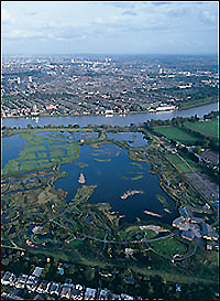 Không ảnh của London Wetland Centre
