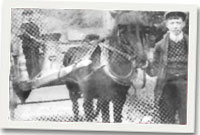 Dau fachgen ifanc gyda cheffyl a trol