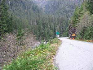 عکس از پدرام دارايی زاده