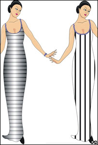 横条竖条对比图