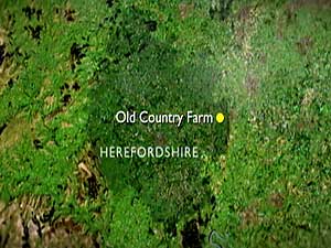 Old Country Farm map