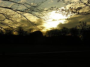 Greenwich Park is one of eight Royal Parks