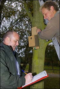 Pensthorpe wardens clear the nest boxes for Springwatch 2009