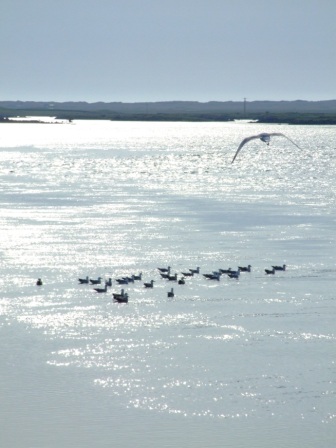 View from North Causeway