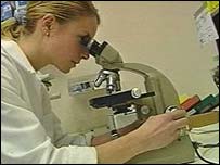 研究人员用显微镜