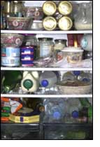 Fridge contents